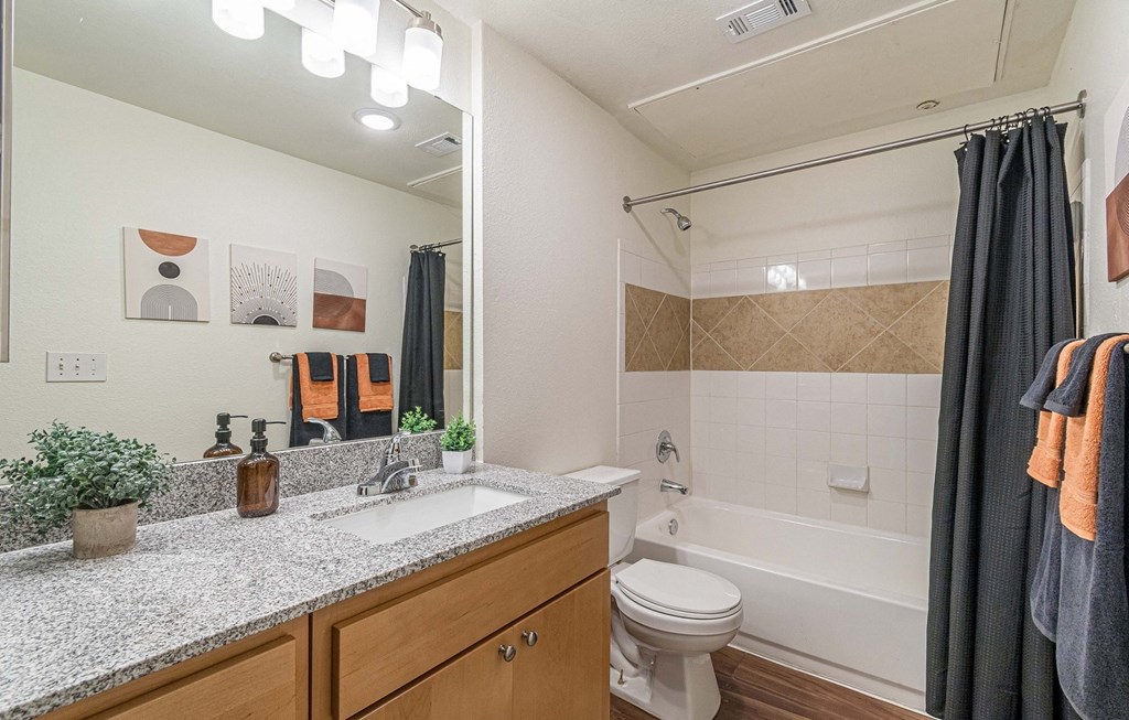 Bathroom With Bathtub Bathroom With Bathtub at Capitol Crossing, Austin, 78744